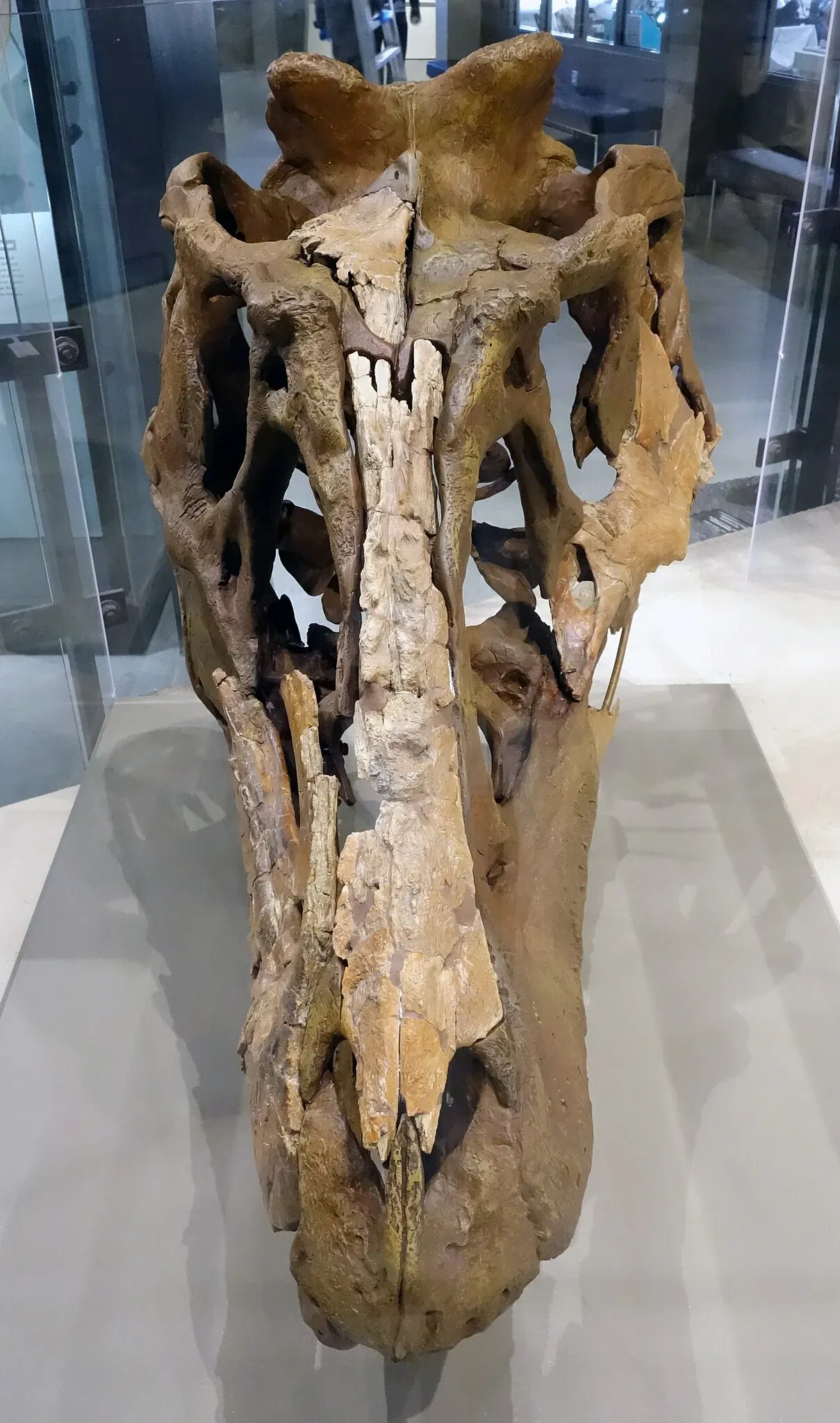 Natural History Museum of Utah