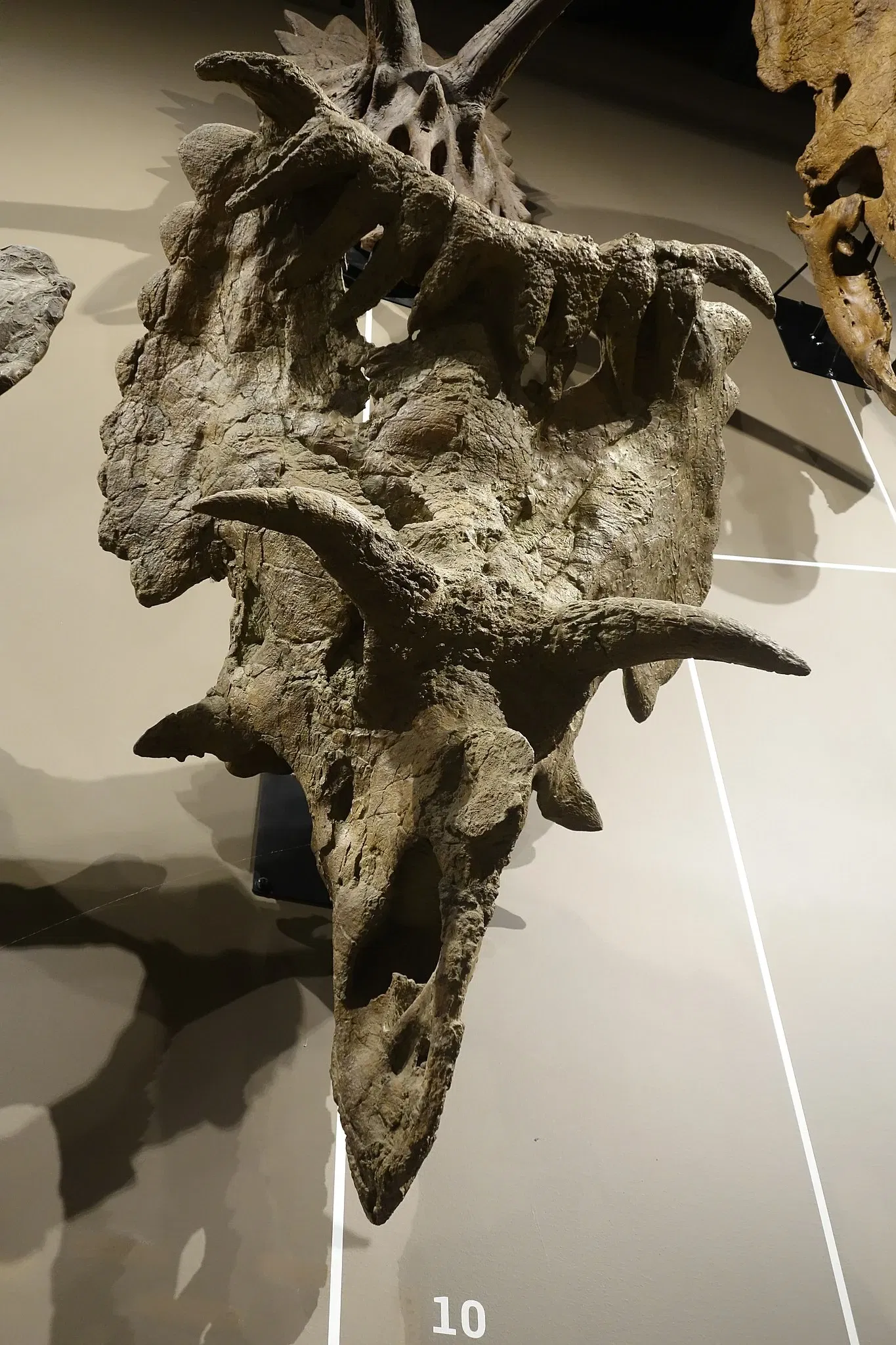 Natural History Museum of Utah