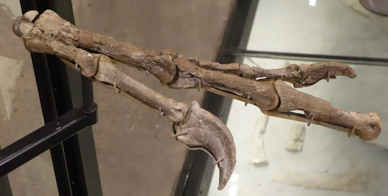 Natural History Museum of Utah