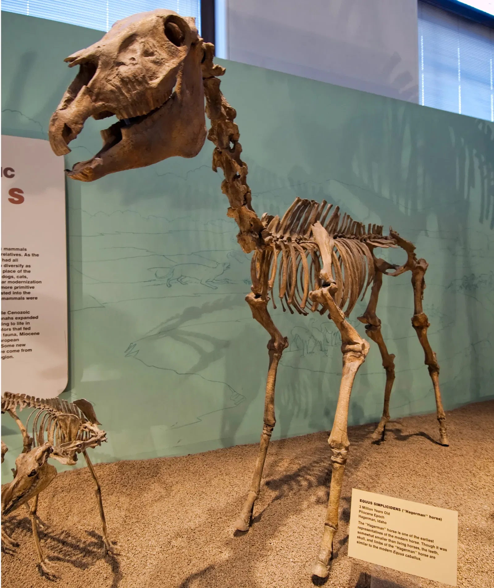 Natural History Museum of Utah