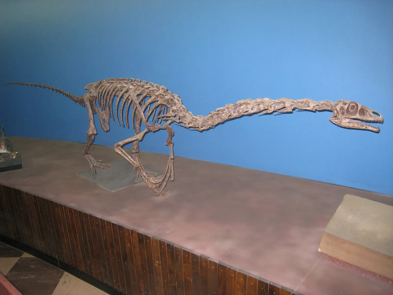 Natural History Museum of Utah