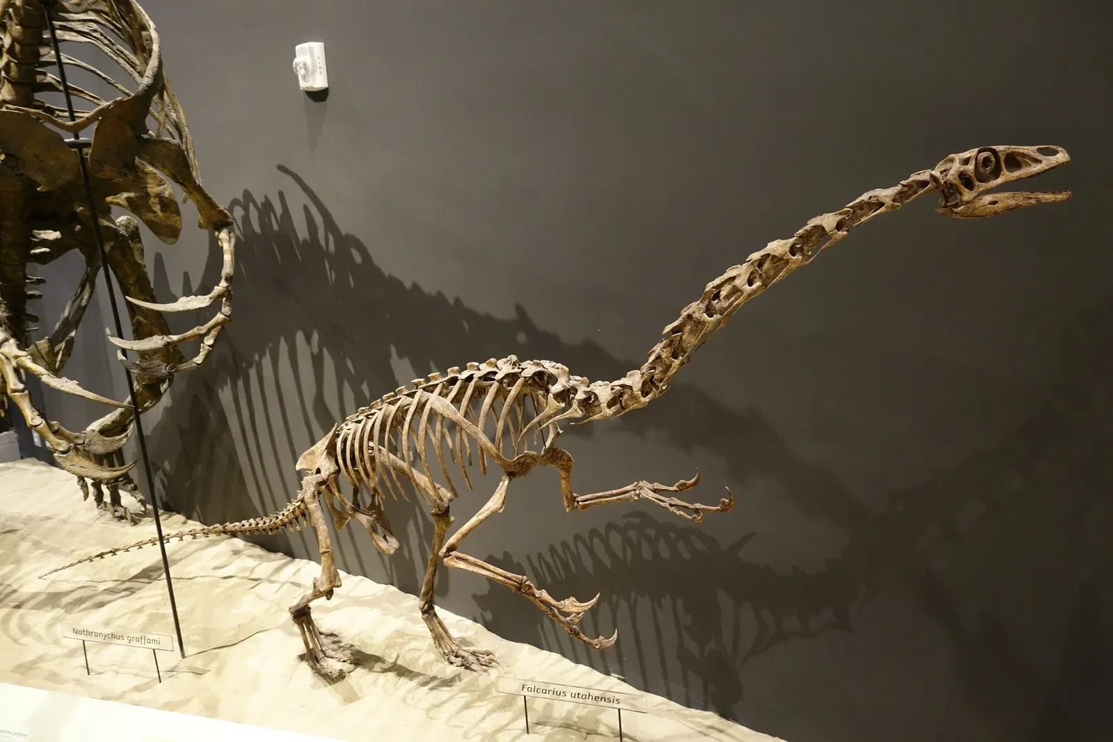 Natural History Museum of Utah