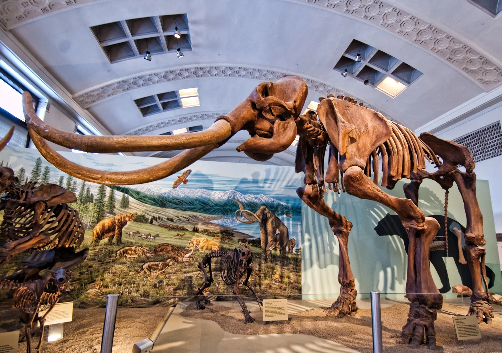 Natural History Museum of Utah