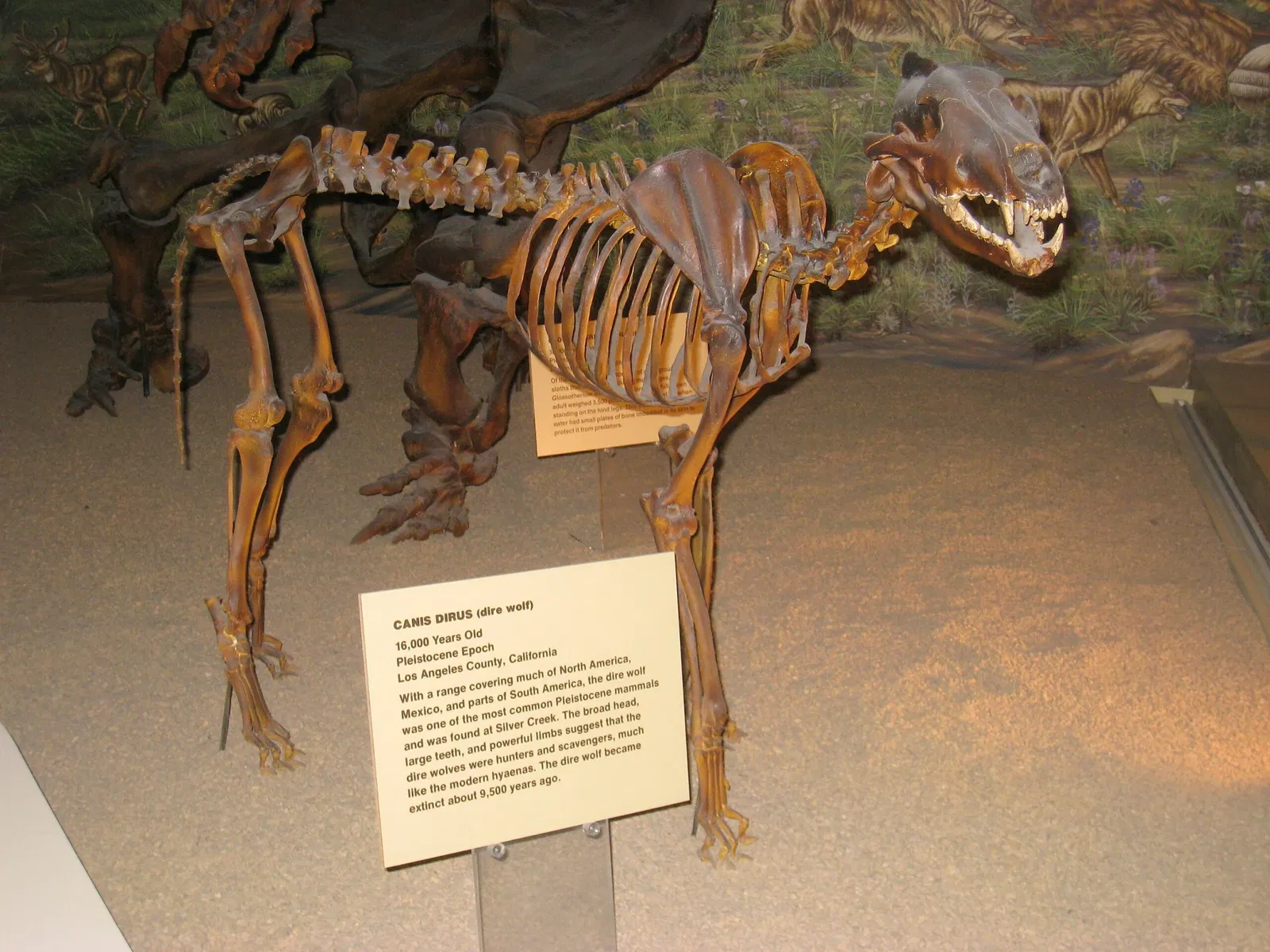 Natural History Museum of Utah