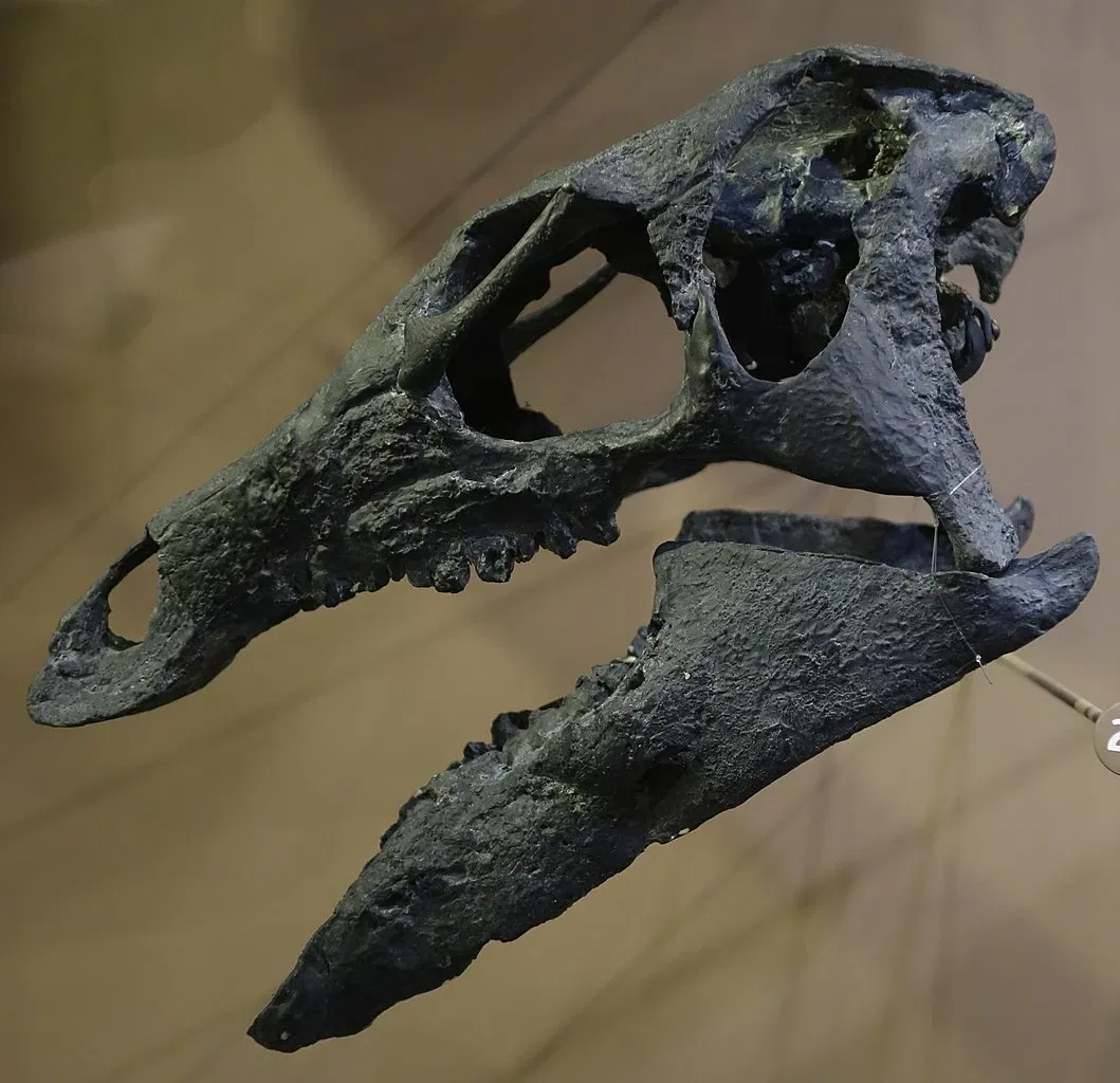 Natural History Museum of Utah