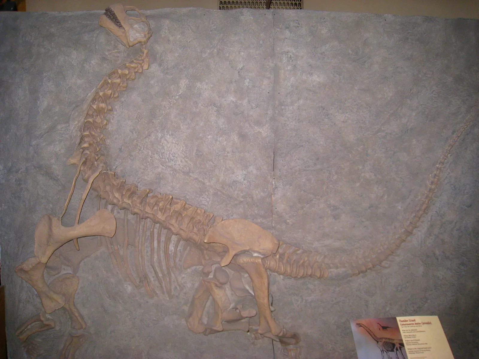 Natural History Museum of Utah