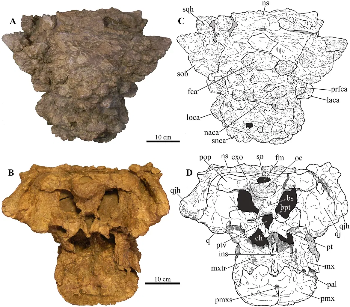 Natural History Museum of Utah