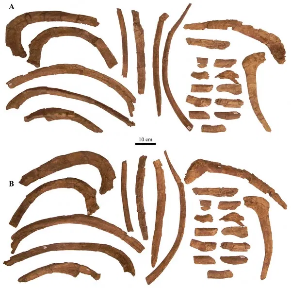 Natural History Museum of Utah