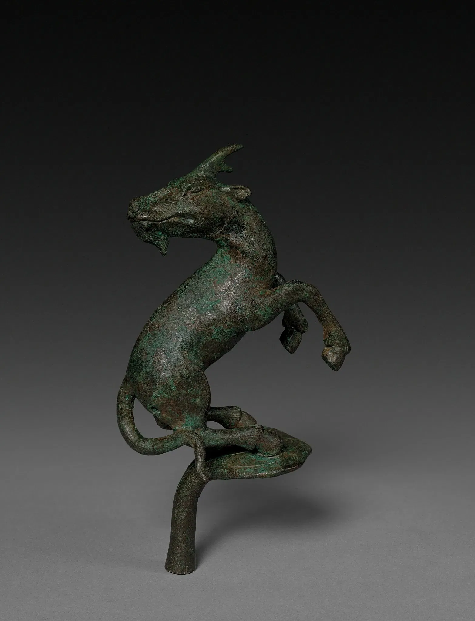 The Cleveland Museum of Art