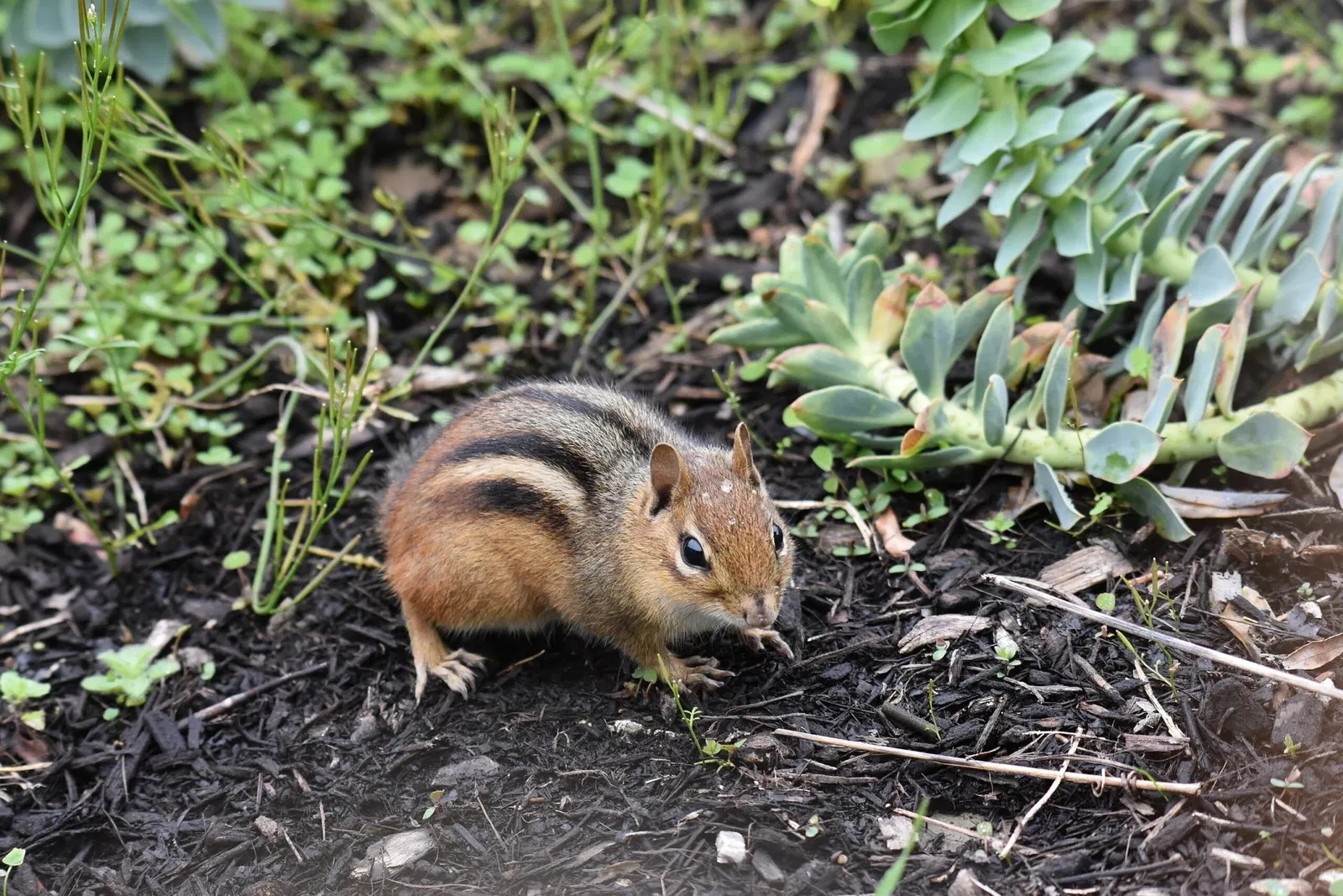 Cleveland Metroparks Zoo