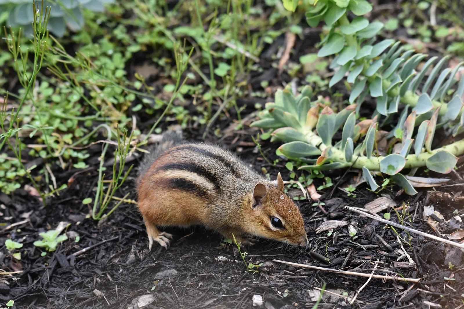 Cleveland Metroparks Zoo