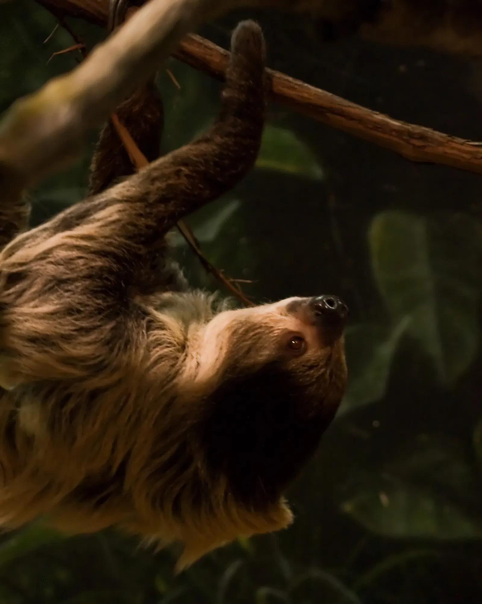 Cleveland Metroparks Zoo