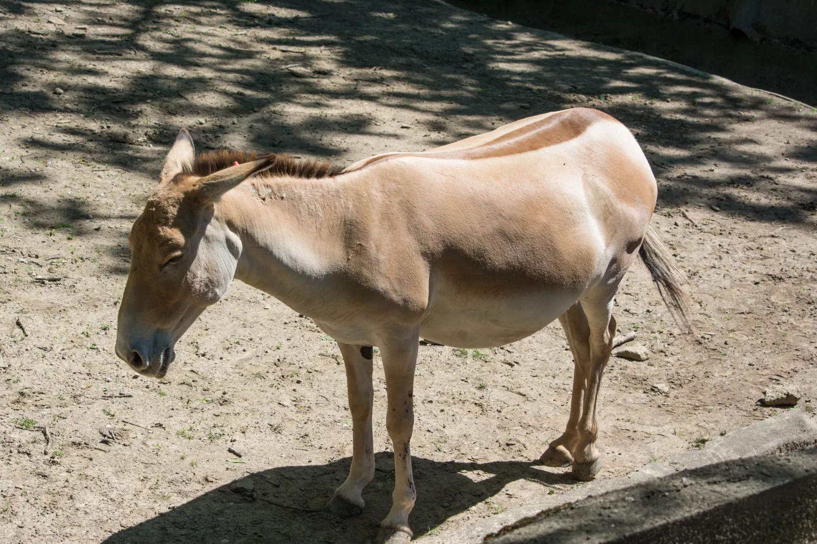 Cleveland Metroparks Zoo