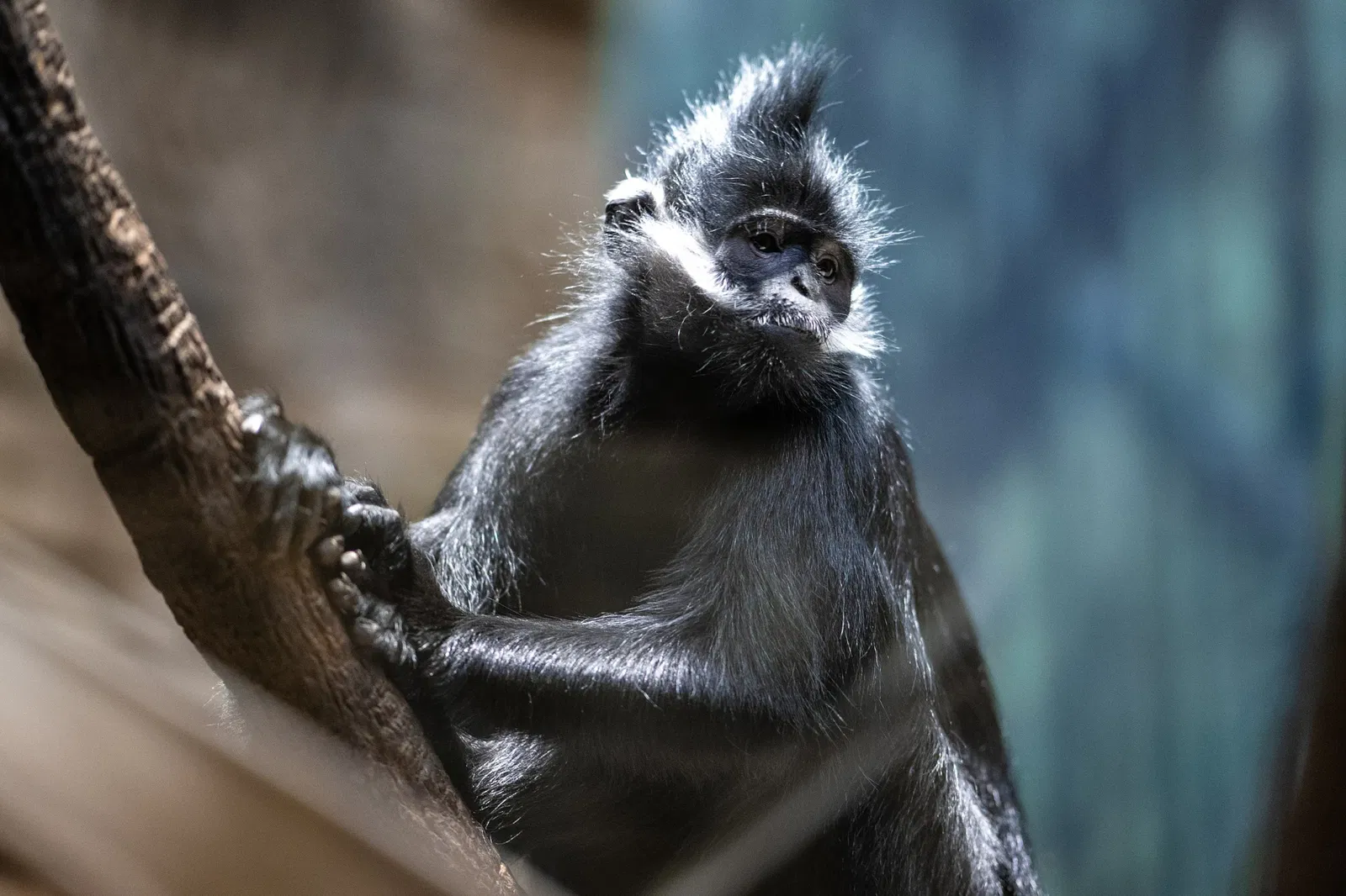 Cleveland Metroparks Zoo