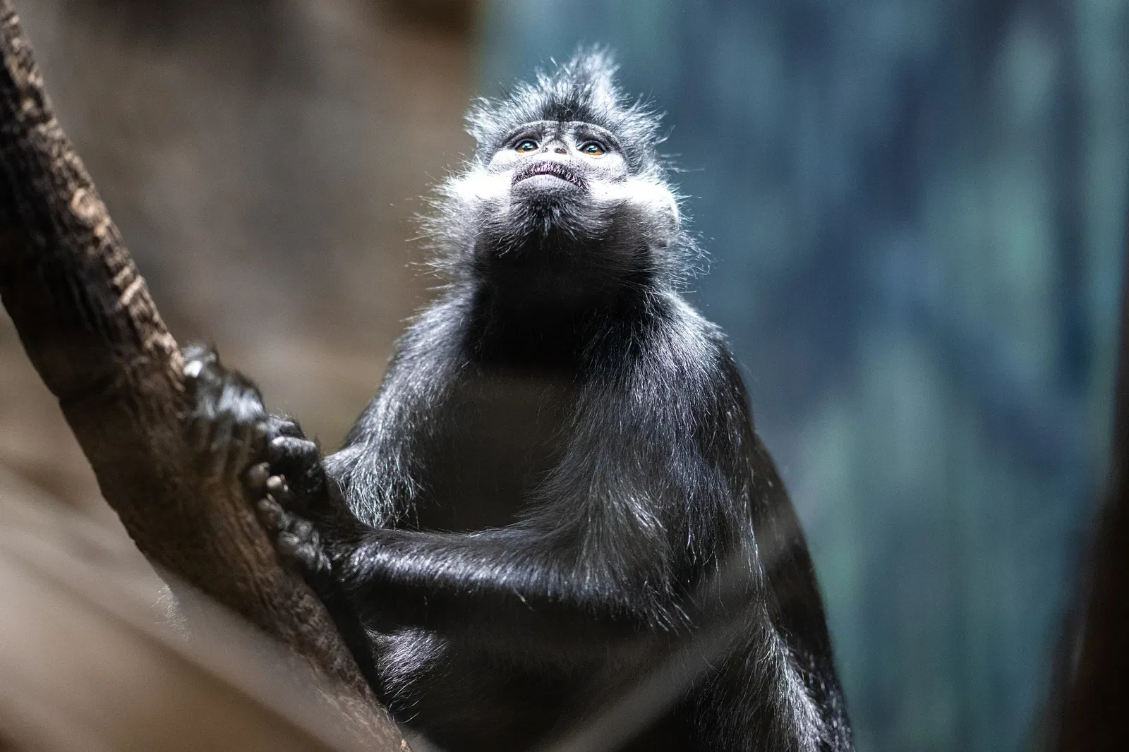 Cleveland Metroparks Zoo