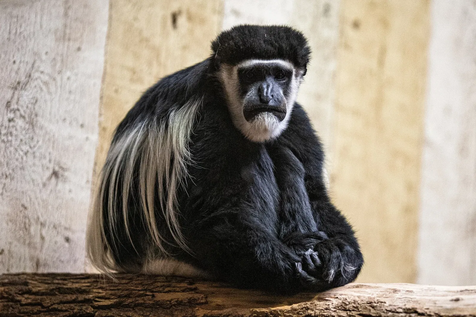 Cleveland Metroparks Zoo