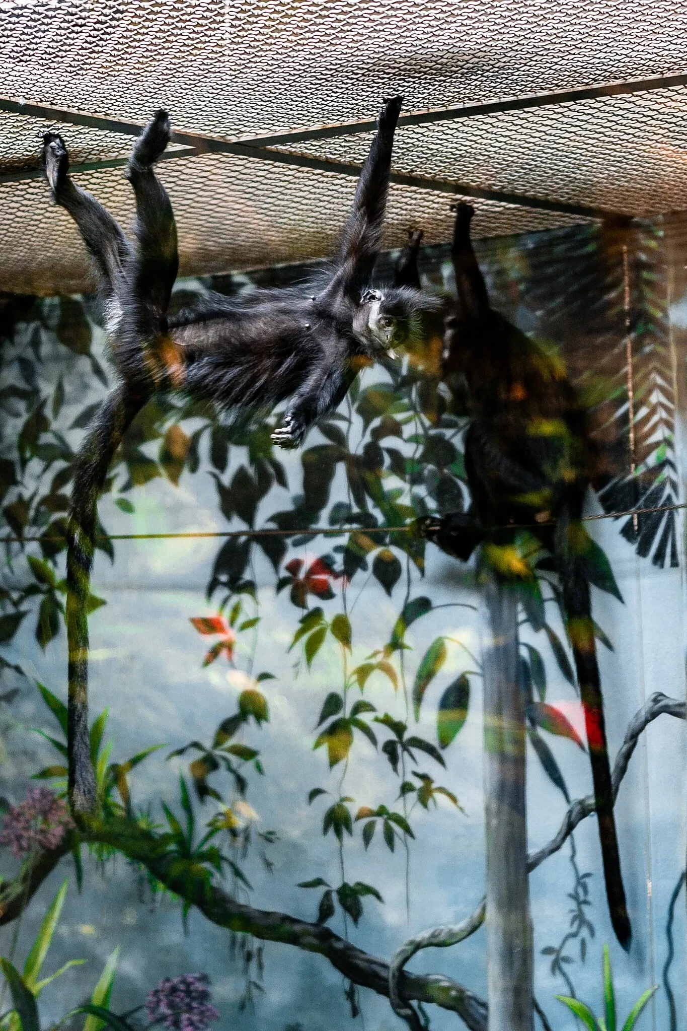 Cleveland Metroparks Zoo