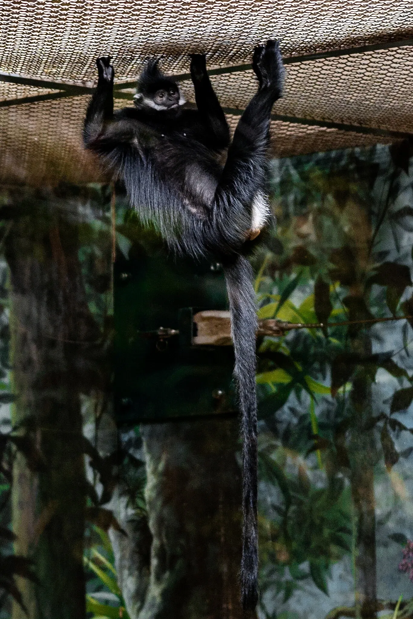 Cleveland Metroparks Zoo