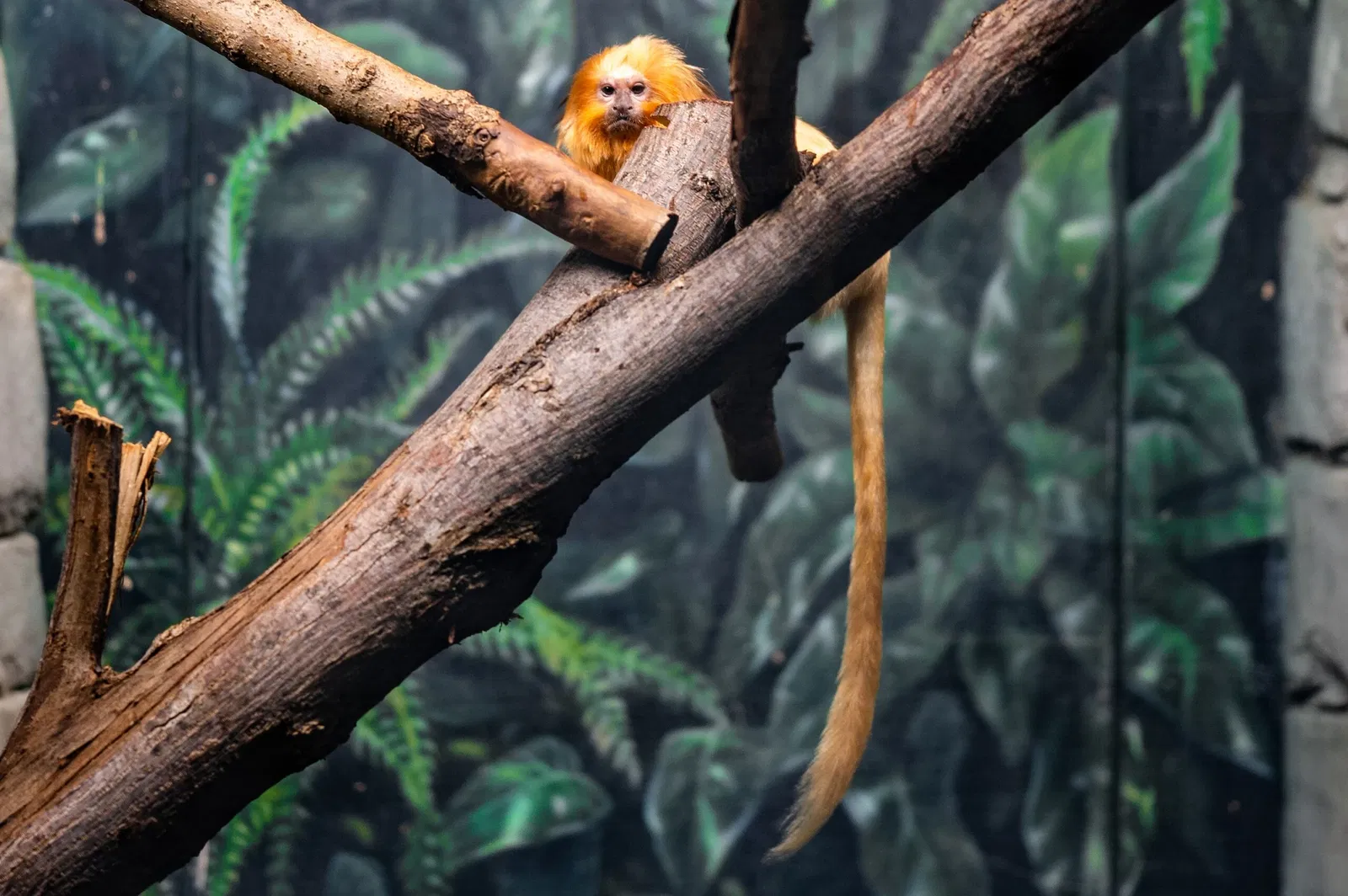 Cleveland Metroparks Zoo