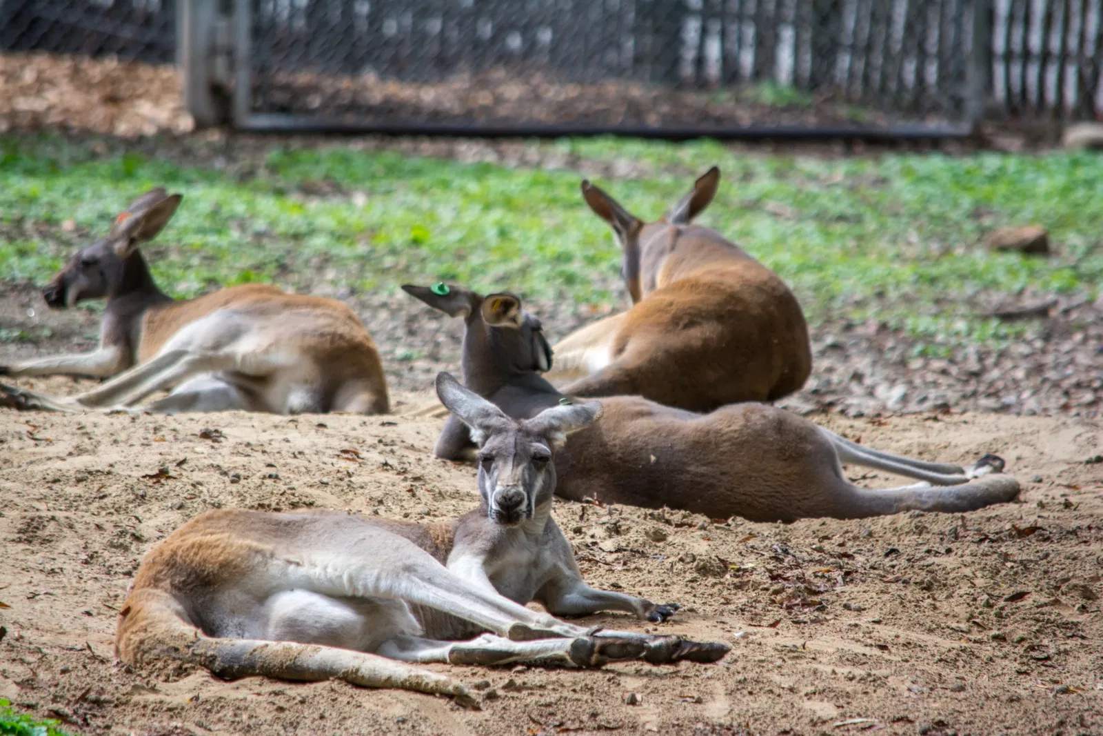 Cleveland Metroparks Zoo
