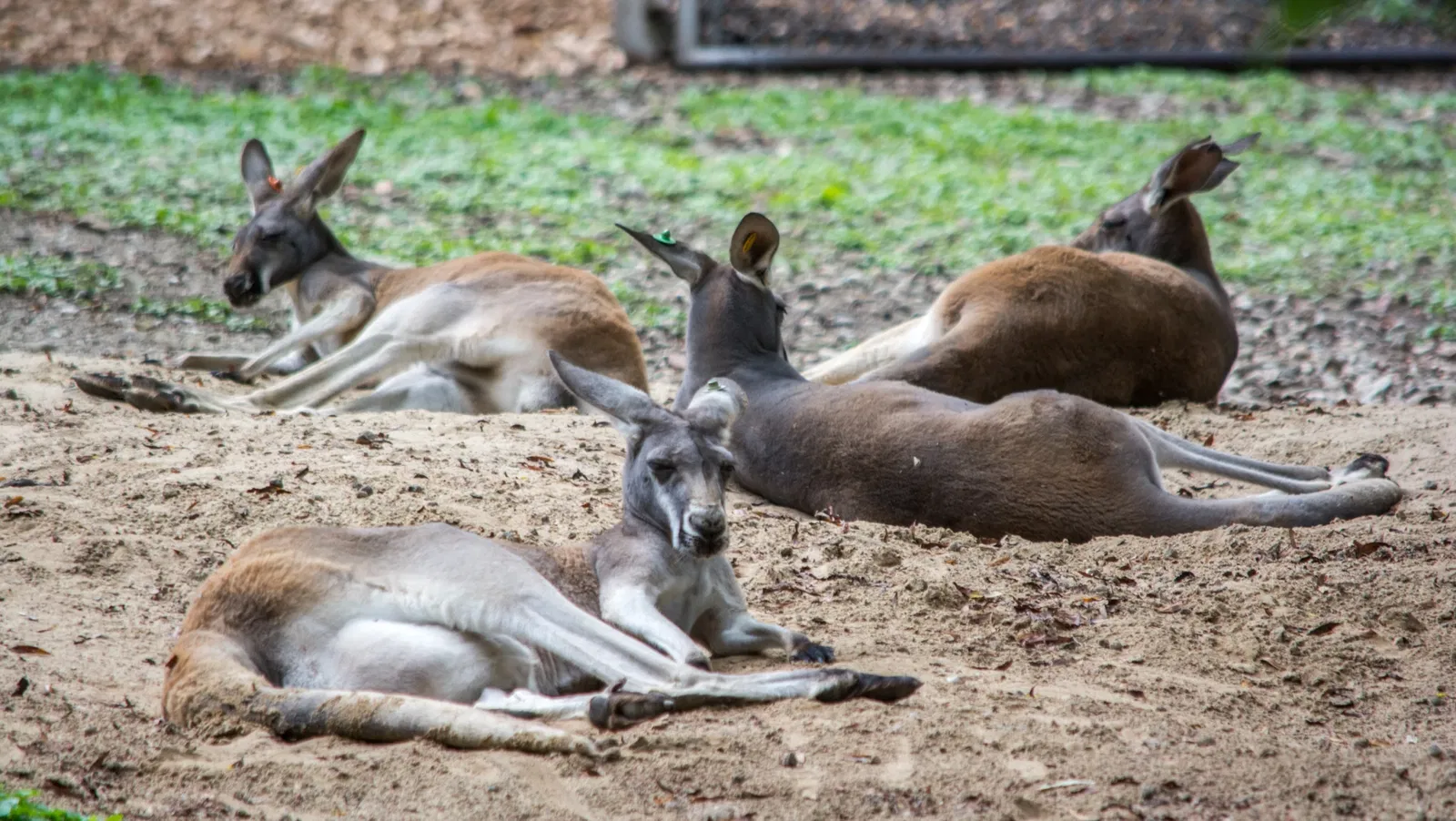 Cleveland Metroparks Zoo