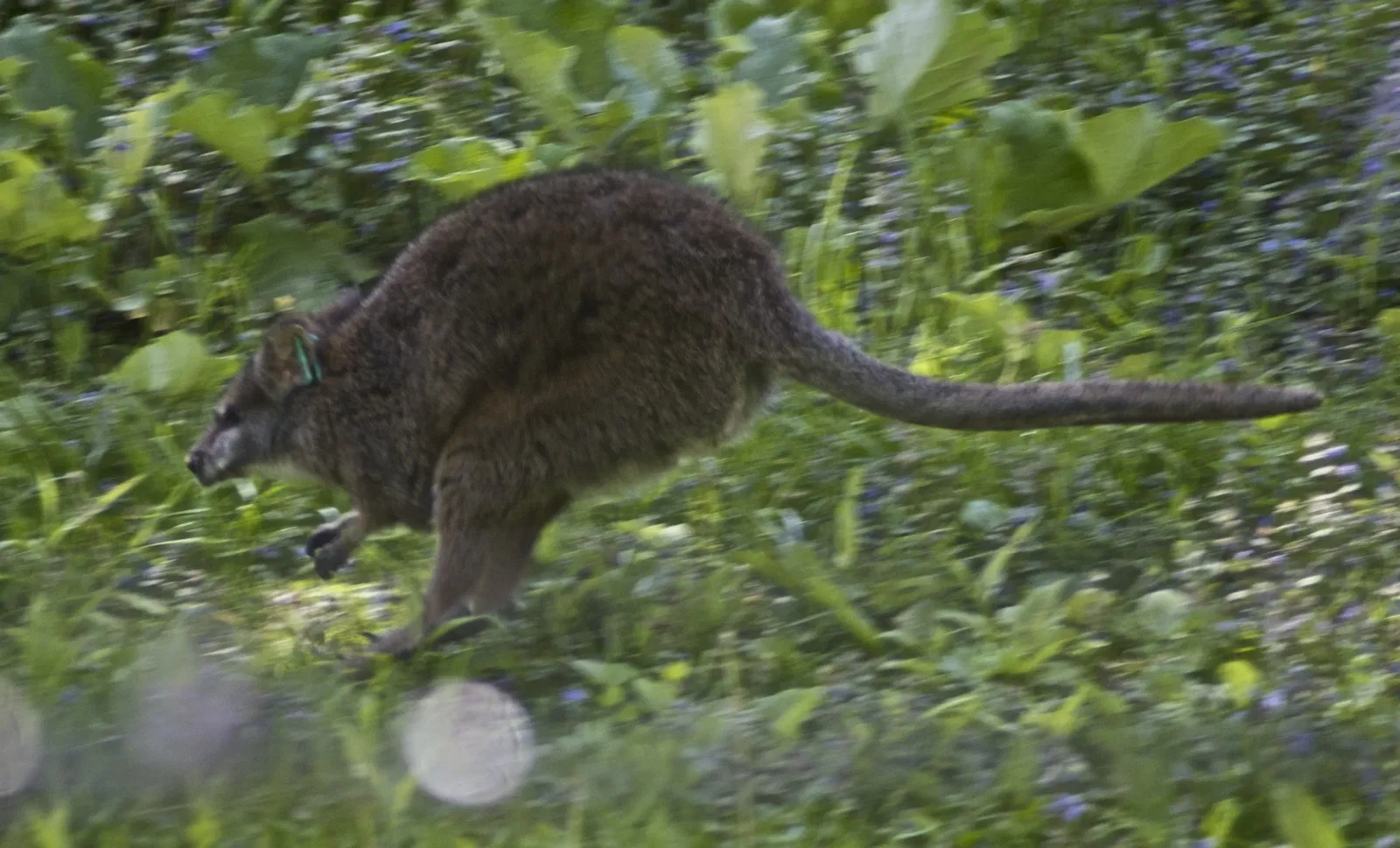 Cleveland Metroparks Zoo