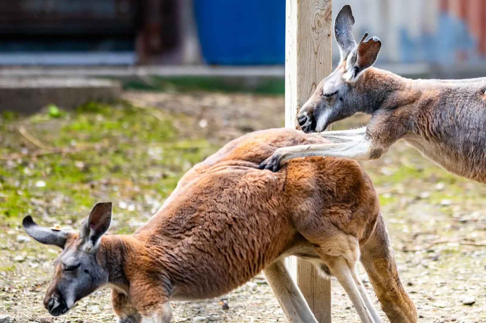 Cleveland Metroparks Zoo