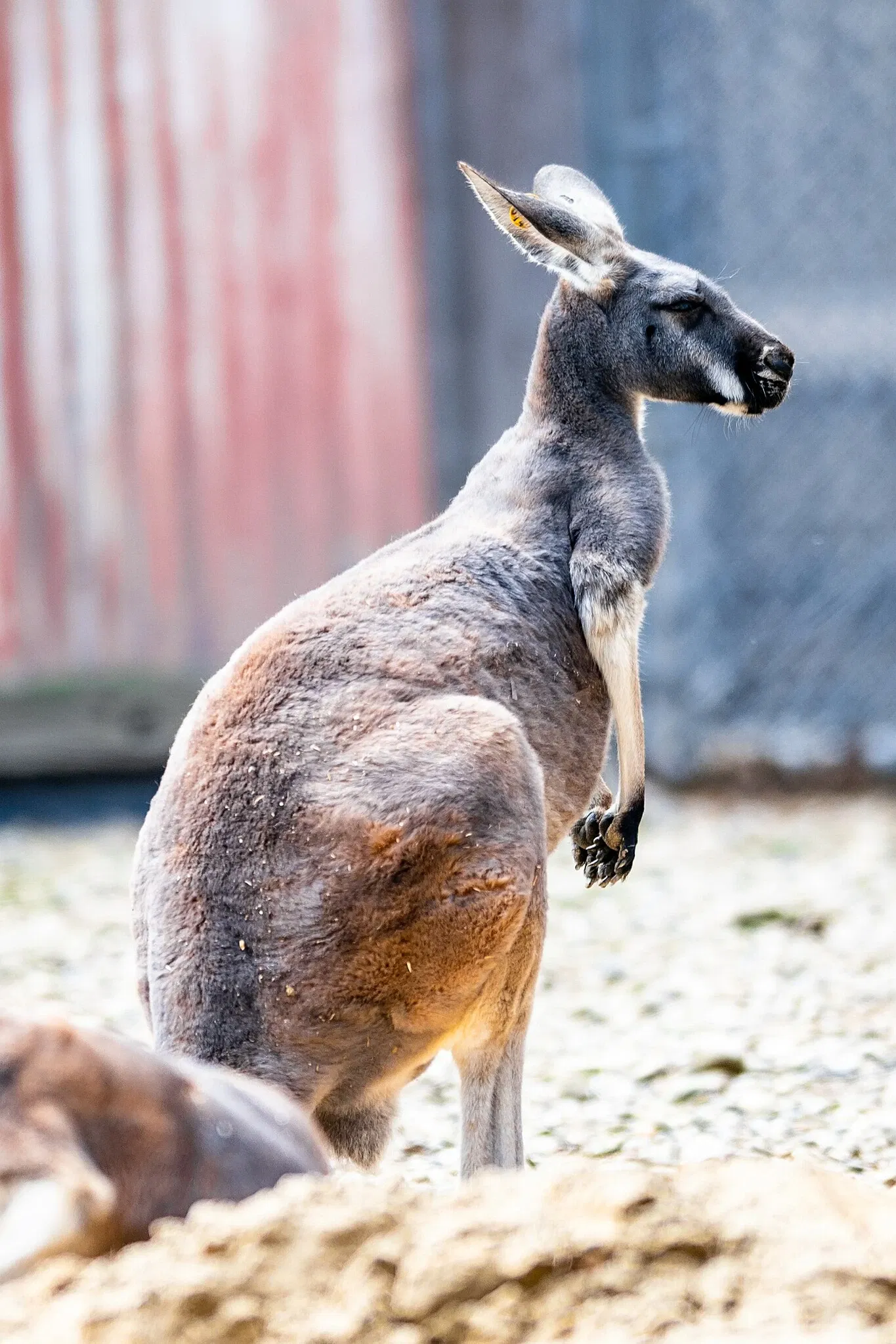 Cleveland Metroparks Zoo
