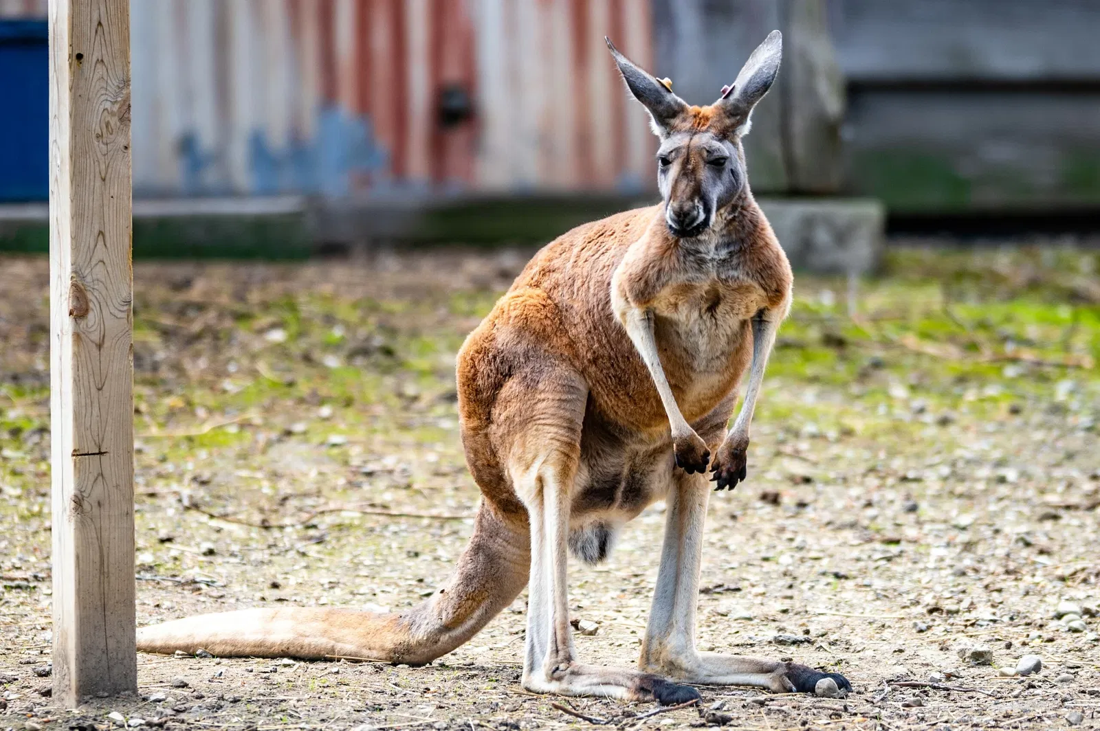 Cleveland Metroparks Zoo
