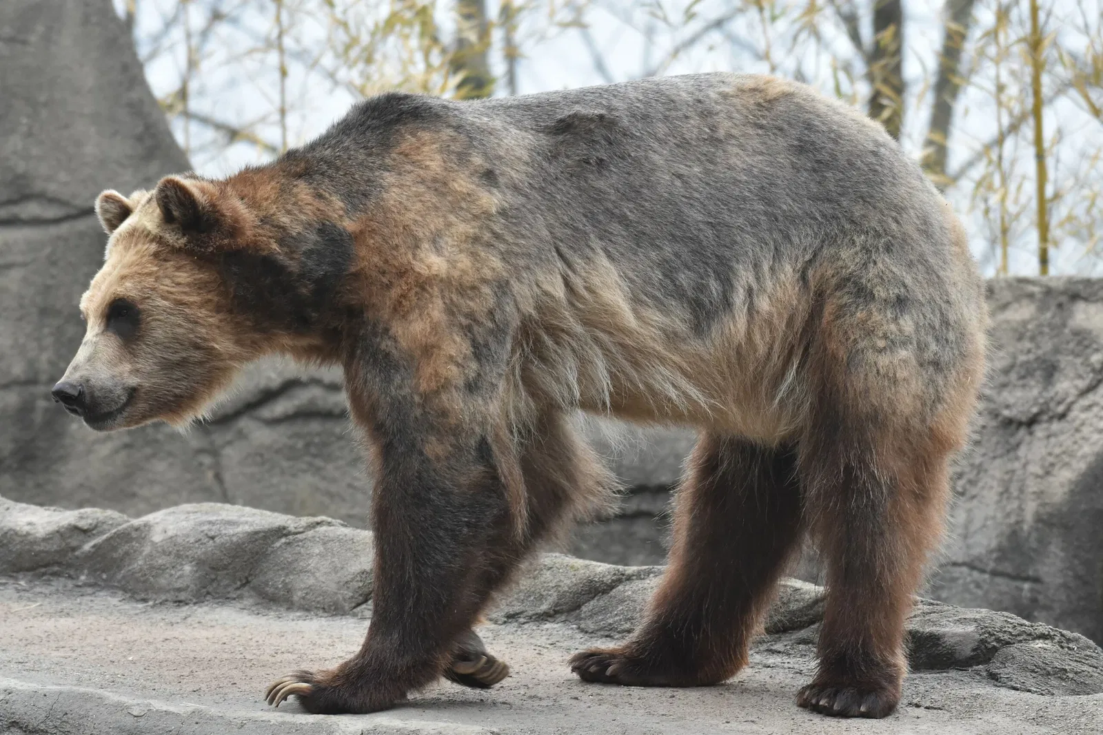 Cleveland Metroparks Zoo