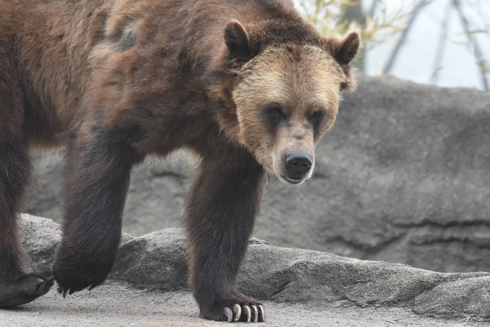 Cleveland Metroparks Zoo