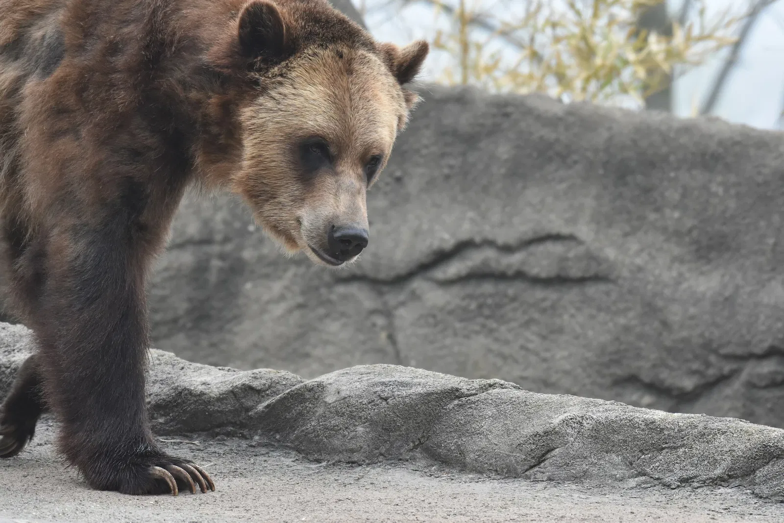 Cleveland Metroparks Zoo