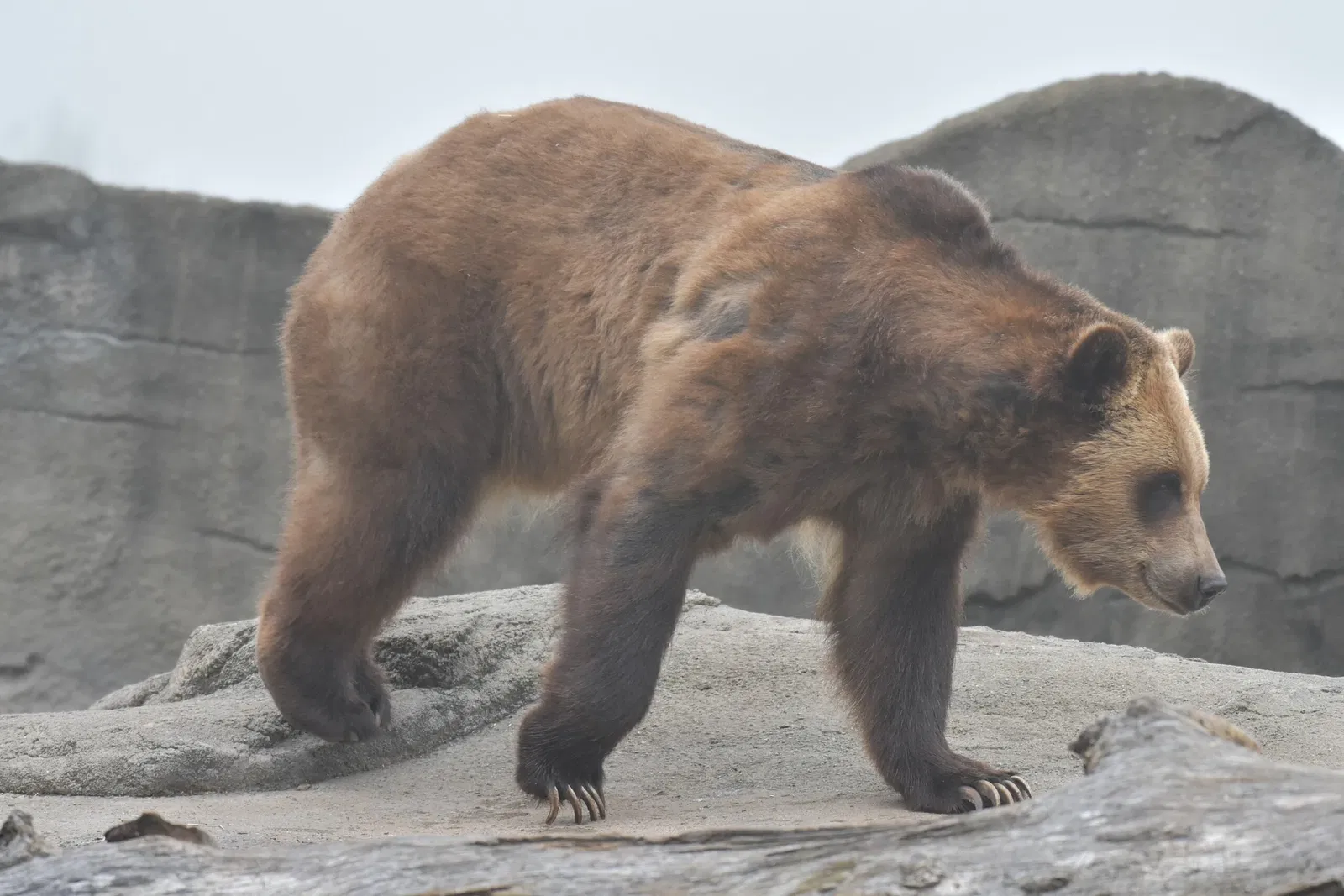 Cleveland Metroparks Zoo