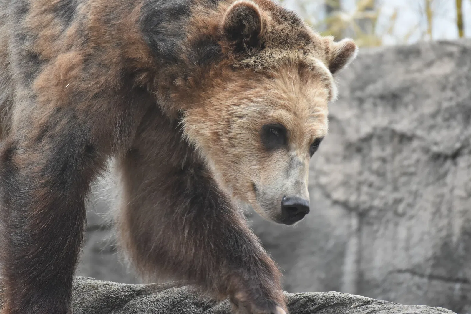 Cleveland Metroparks Zoo
