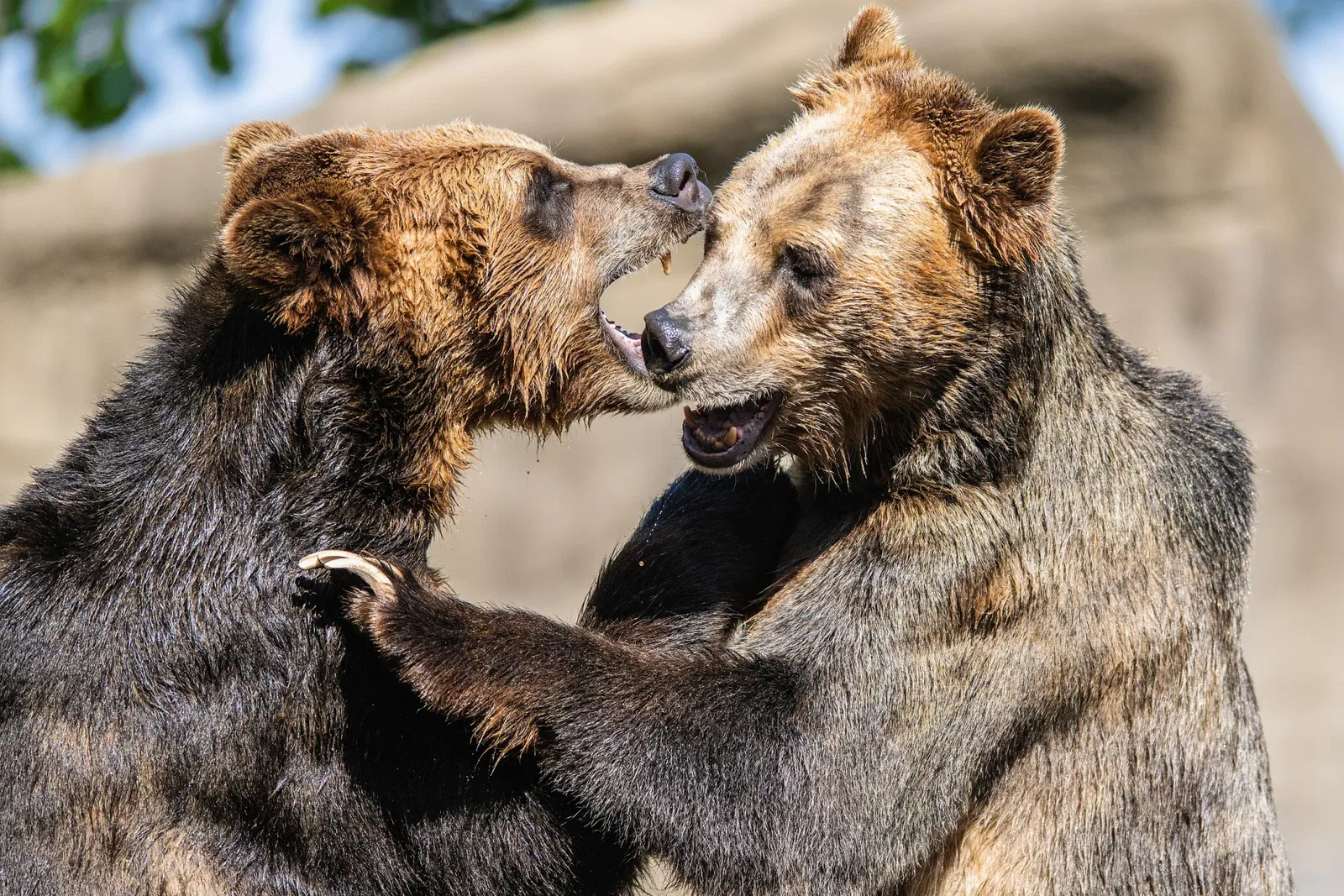 Cleveland Metroparks Zoo