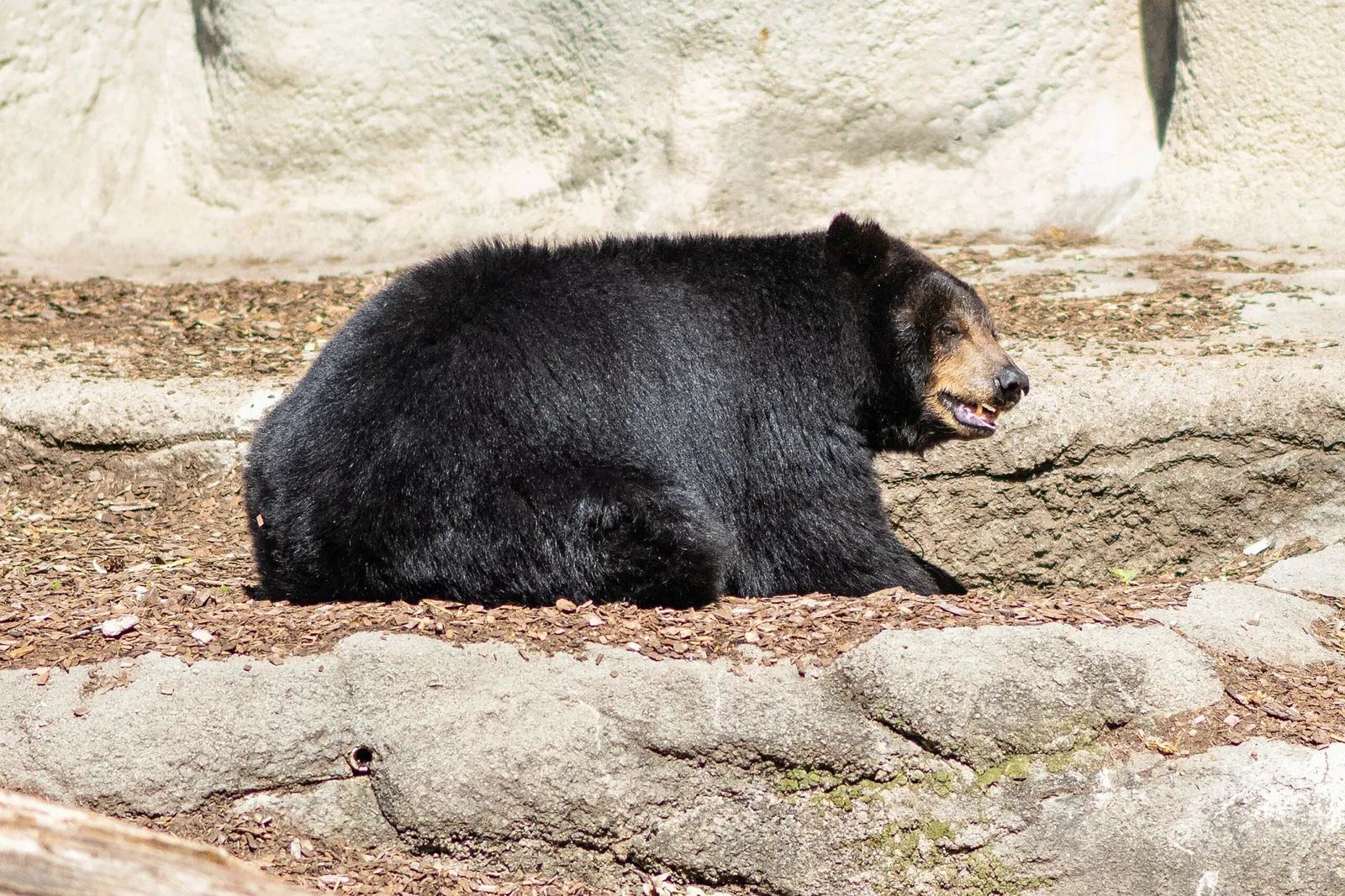 Cleveland Metroparks Zoo