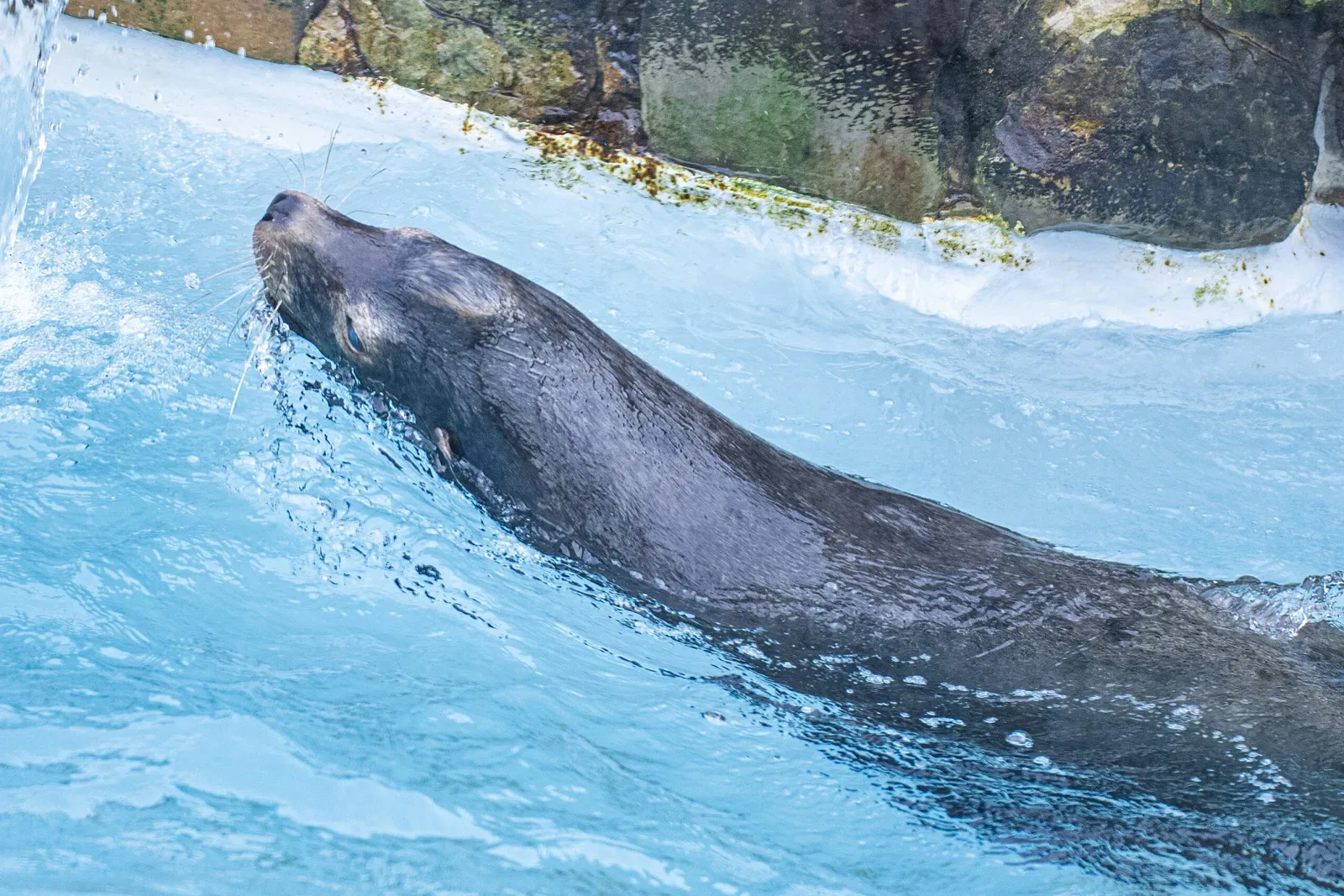 Cleveland Metroparks Zoo