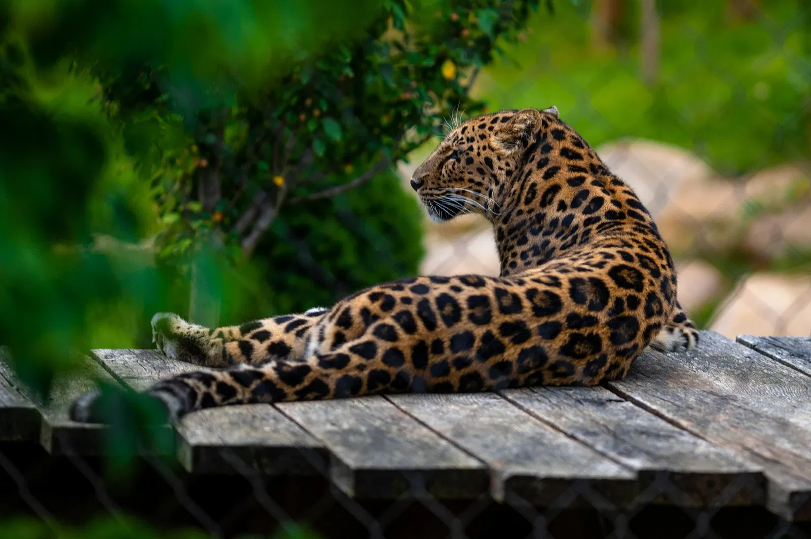 Cleveland Metroparks Zoo