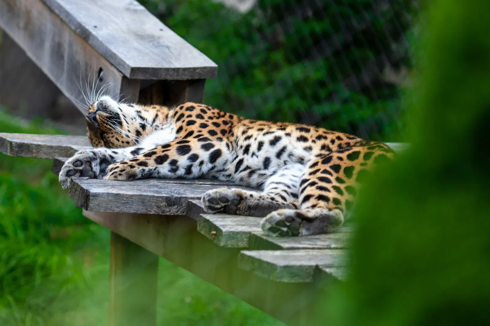 Cleveland Metroparks Zoo