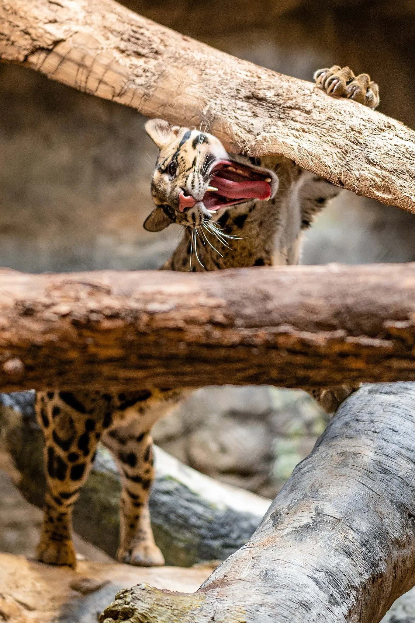 Cleveland Metroparks Zoo