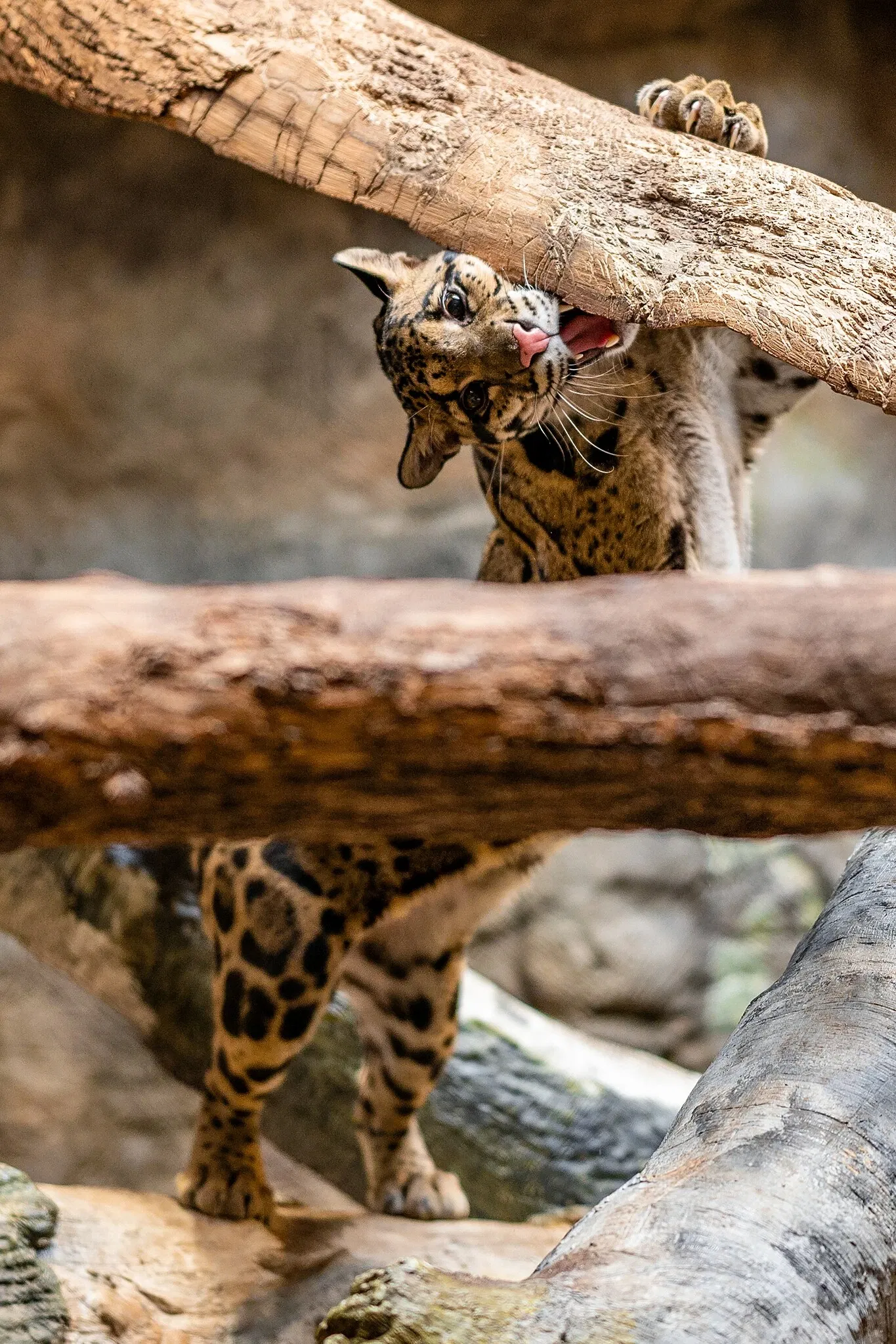 Cleveland Metroparks Zoo