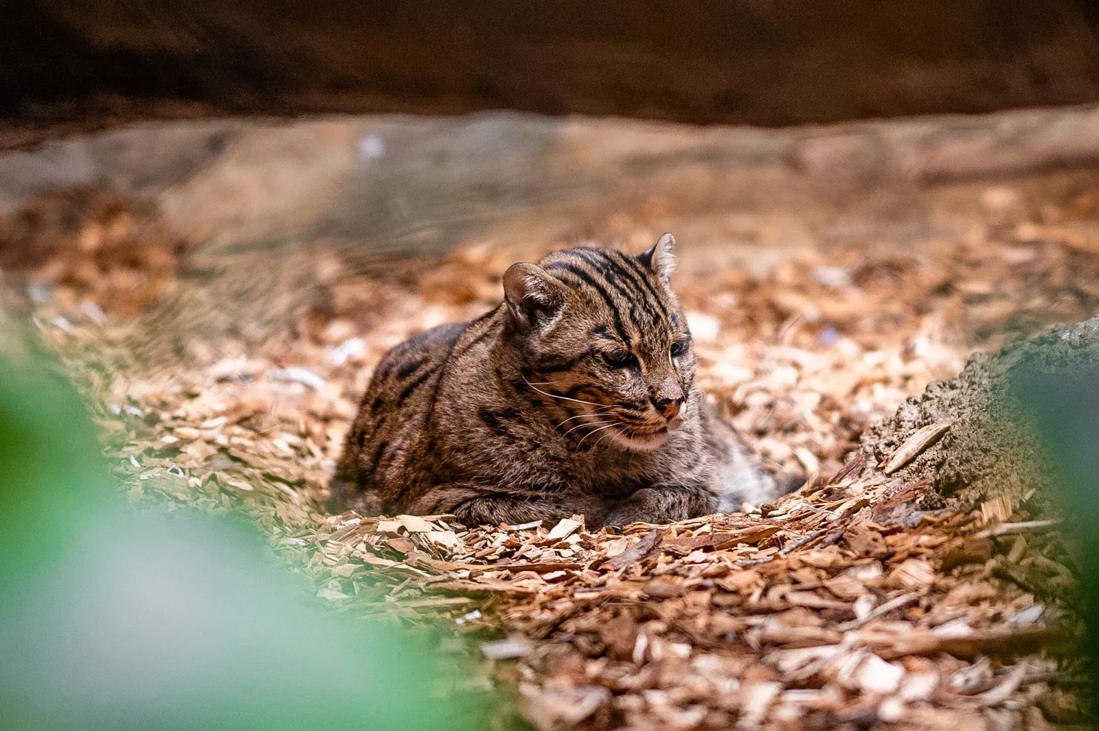 Cleveland Metroparks Zoo