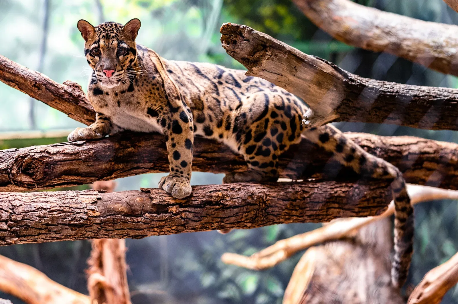 Cleveland Metroparks Zoo