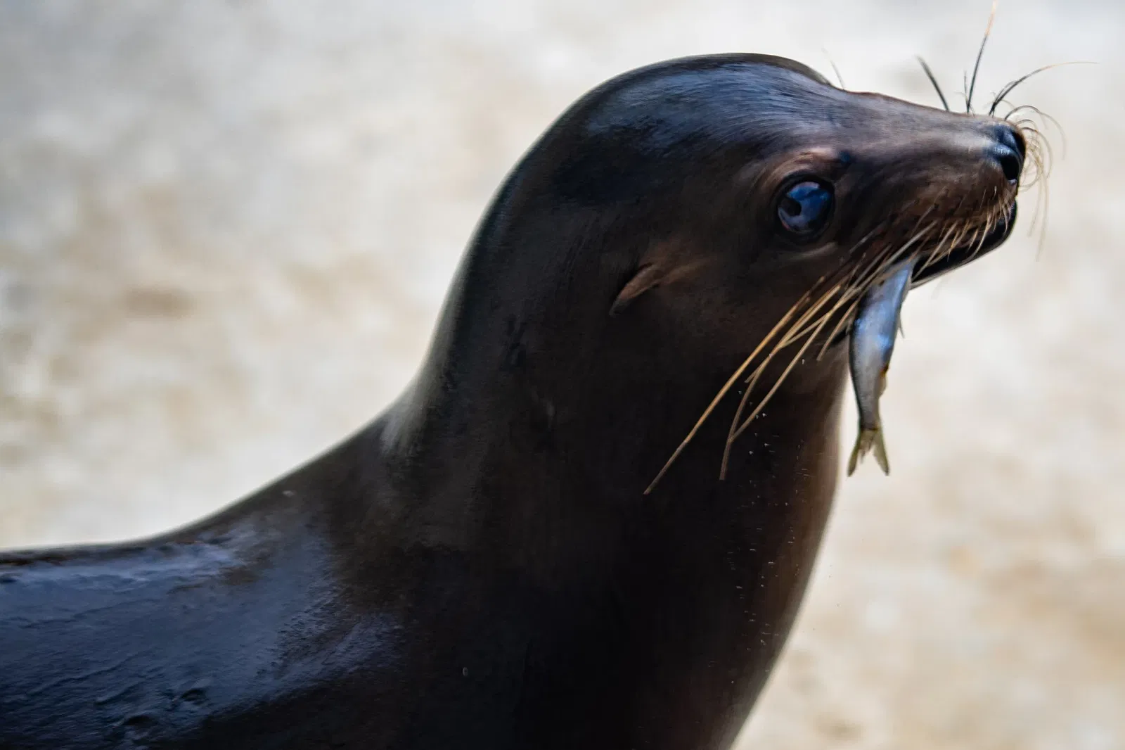 Cleveland Metroparks Zoo