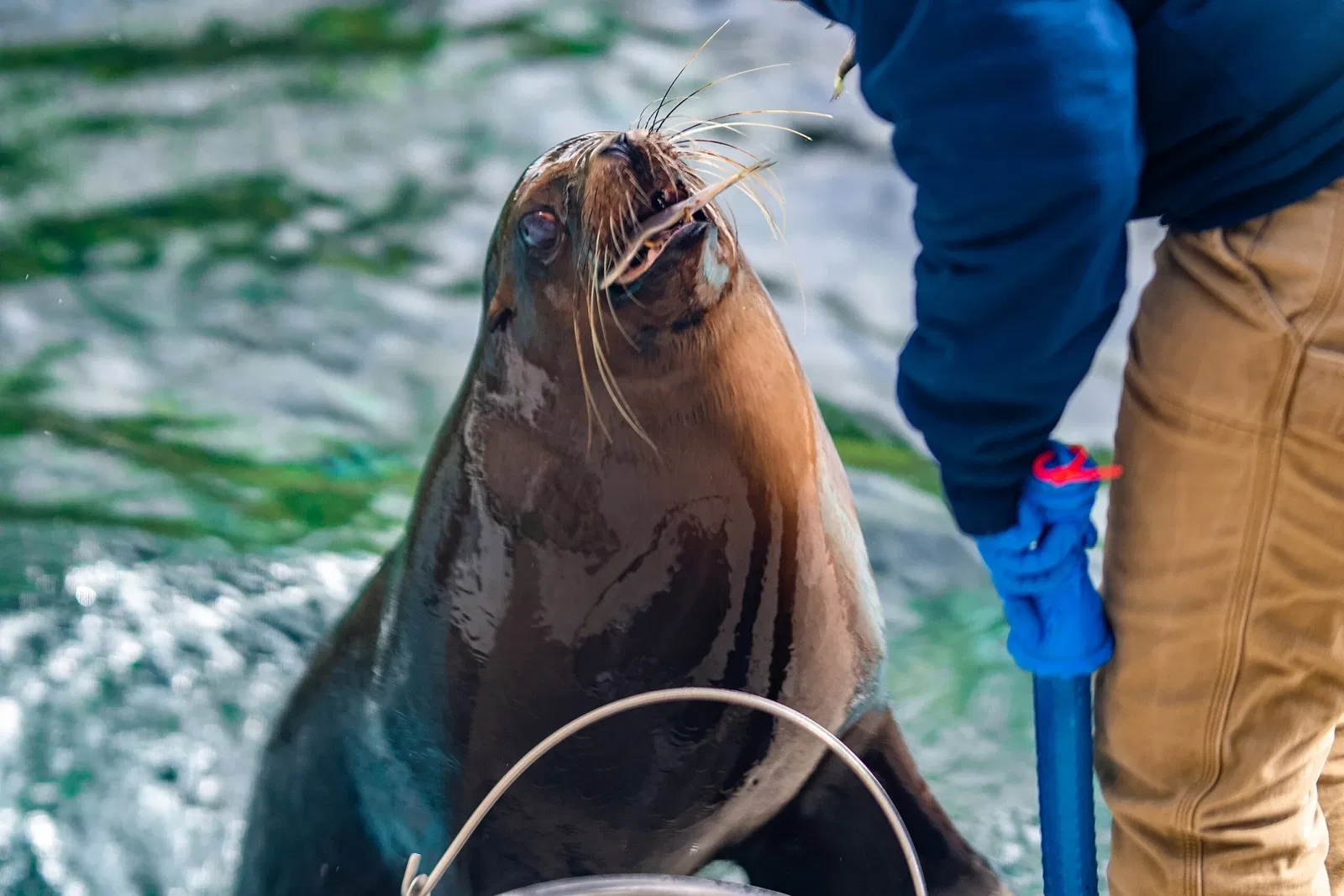 Cleveland Metroparks Zoo