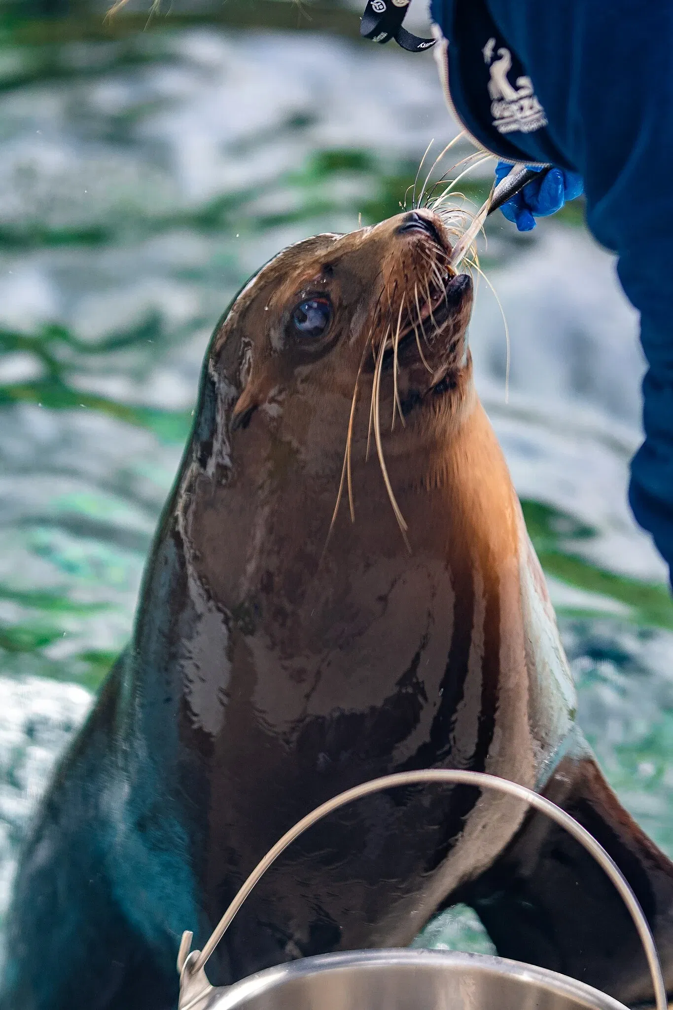 Cleveland Metroparks Zoo