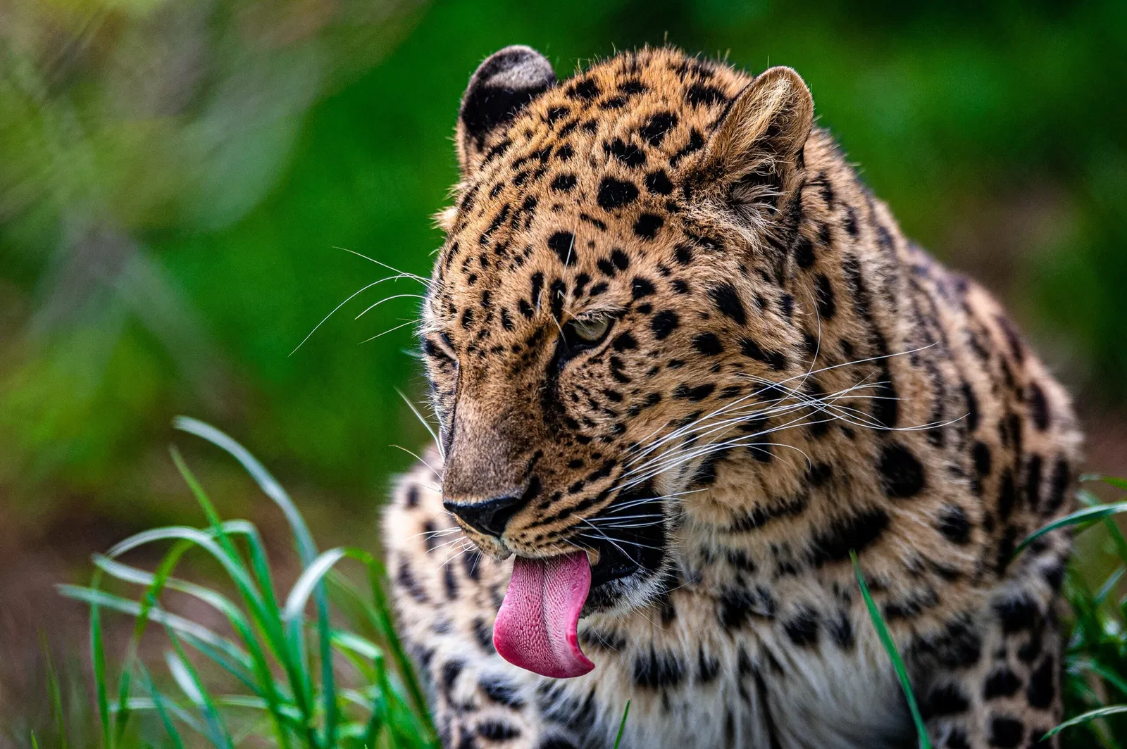 Cleveland Metroparks Zoo