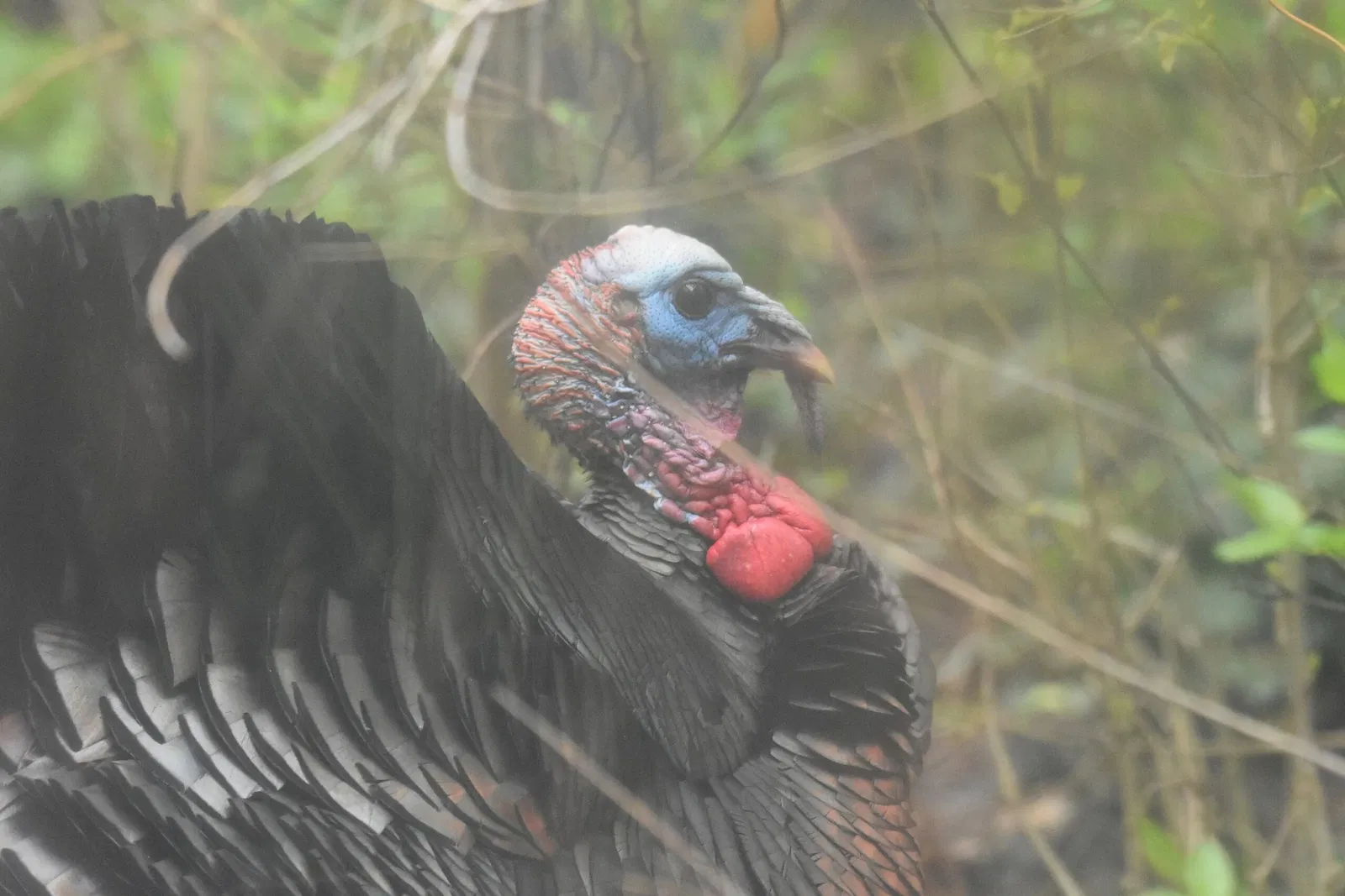 Cleveland Metroparks Zoo