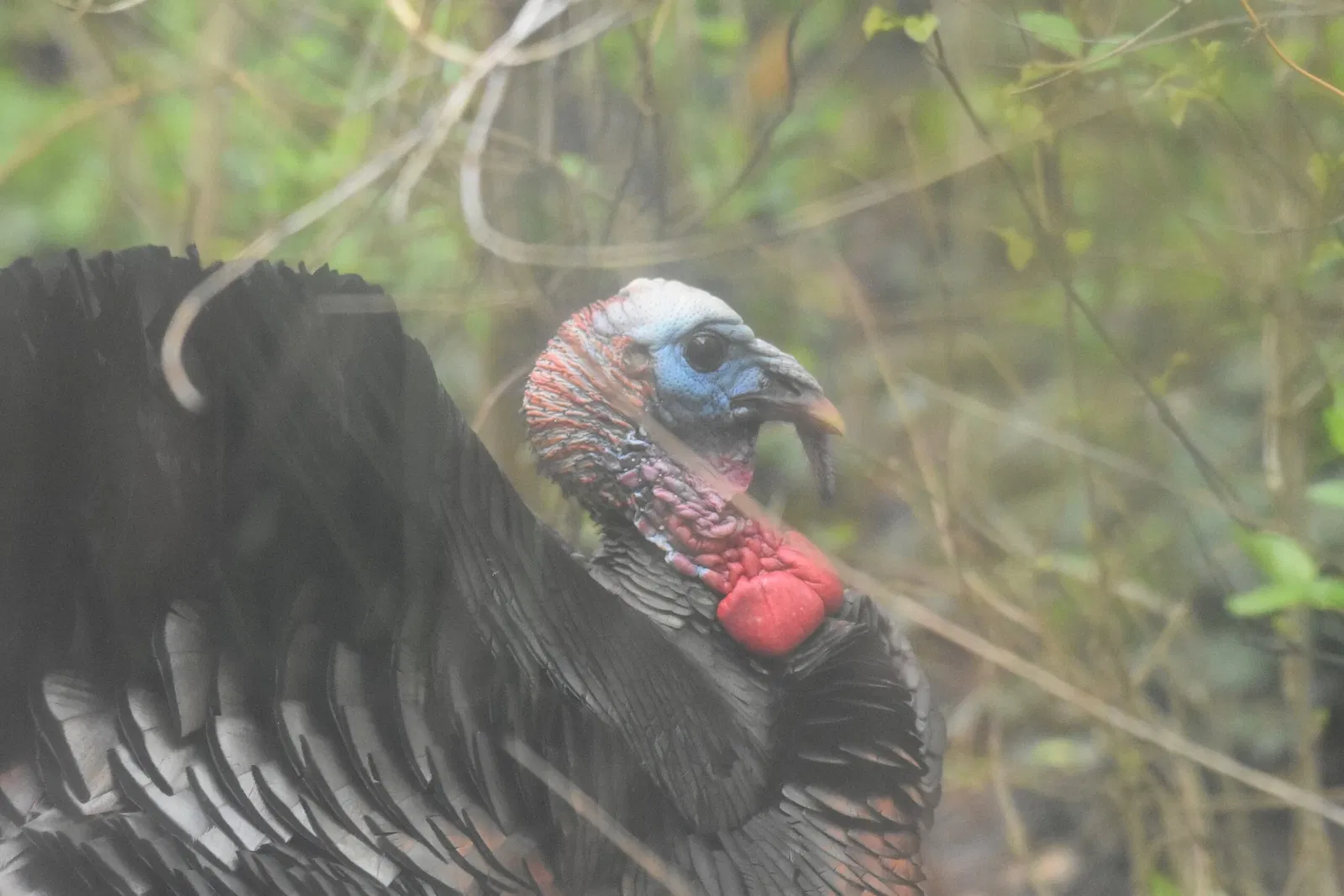 Cleveland Metroparks Zoo