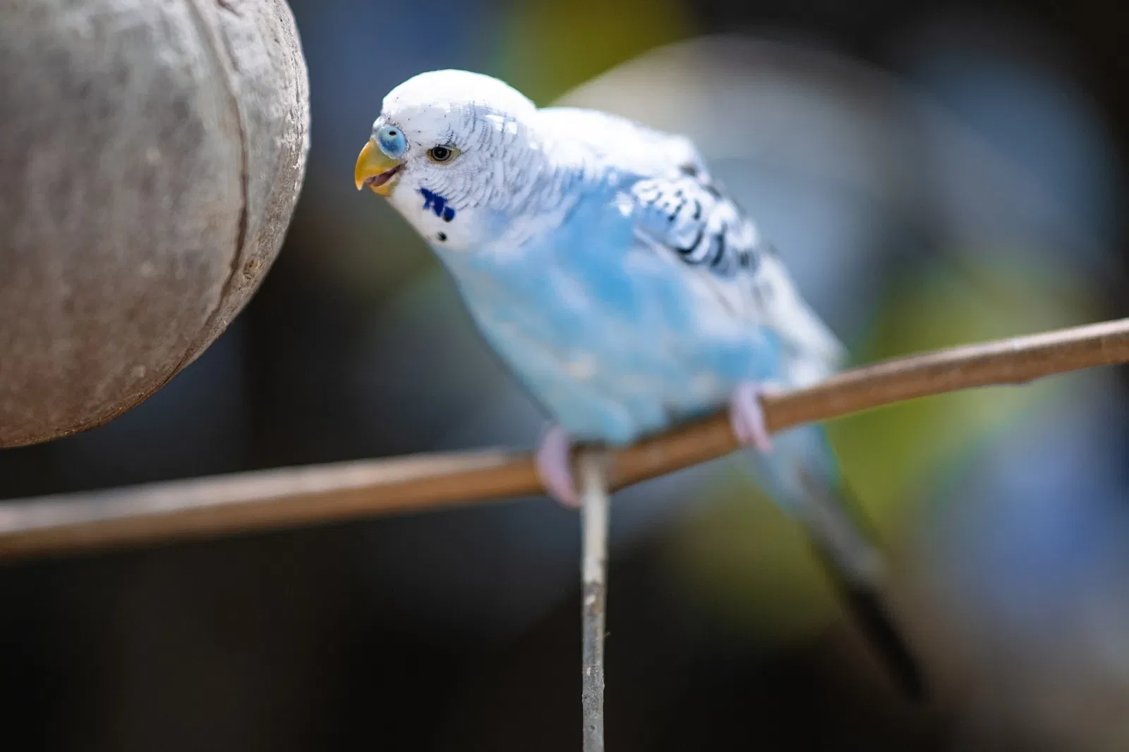 Cleveland Metroparks Zoo